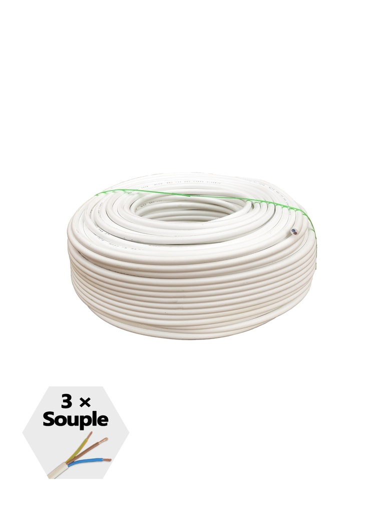 CABLE SOUPLE MUST