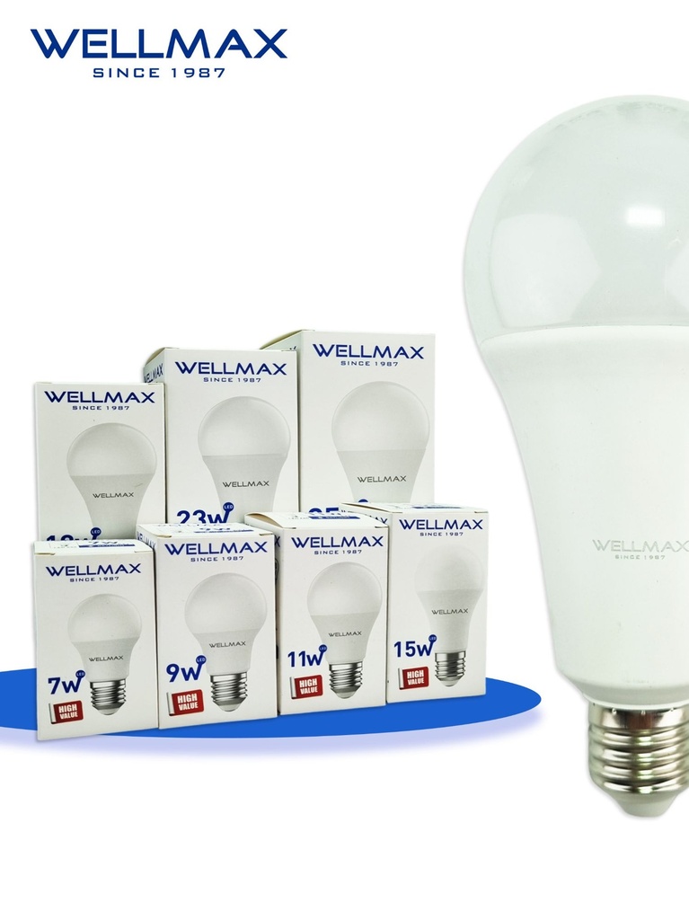 LAMPE WELLMAX 11W