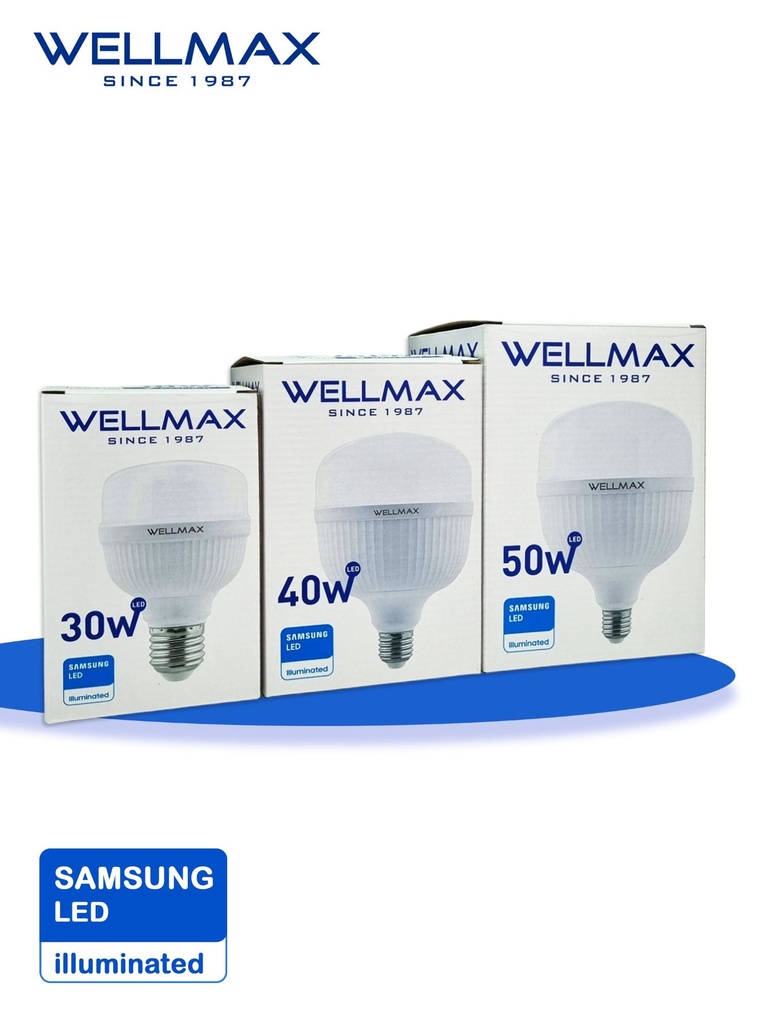 LAMPE WELLMAX GM 40W