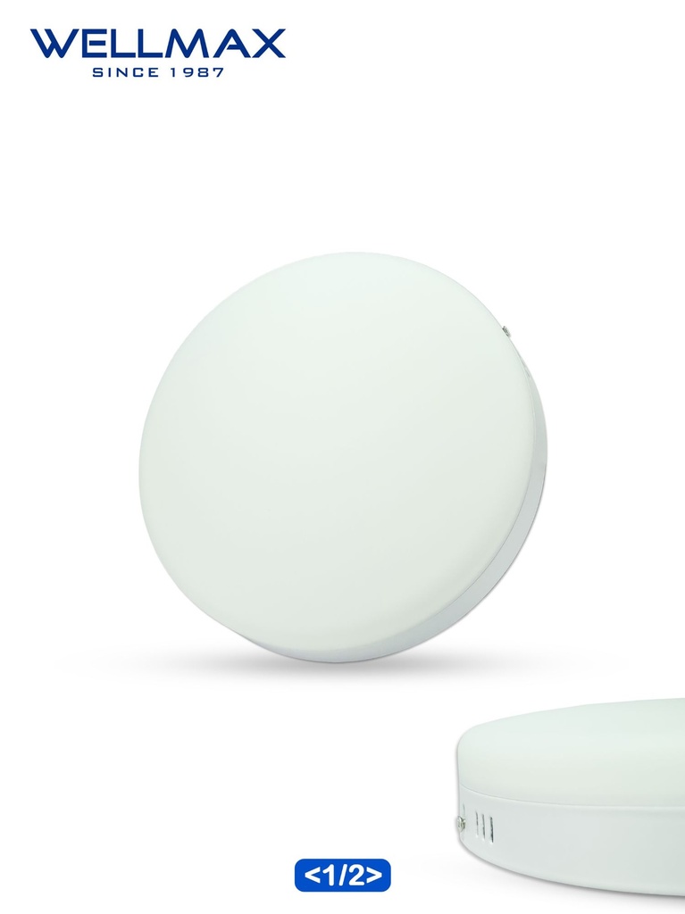 SPOT APP ROND SAMS WELLMAX 36W