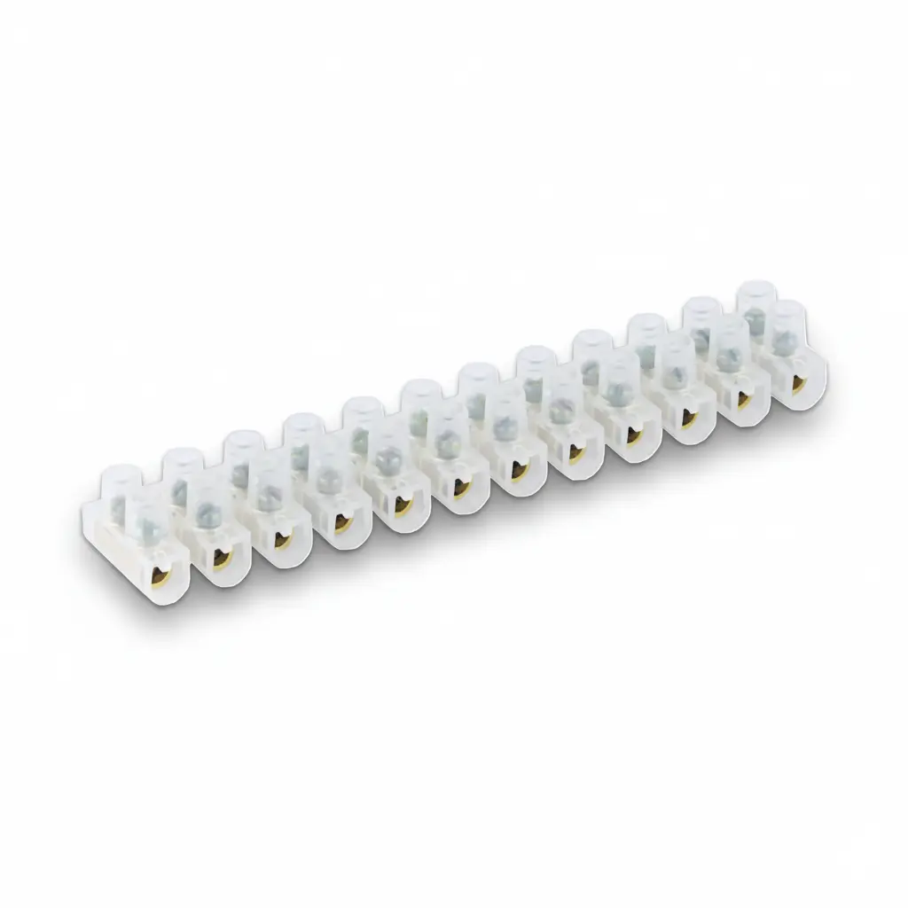 DOMINO (S) CH