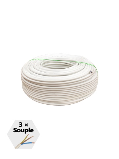 CABLE SOUPLE MUST