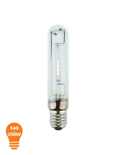 LAMPE A IODE E40