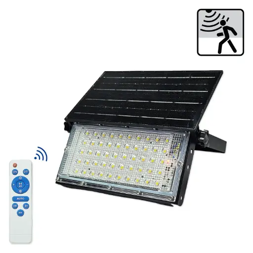 PROJ ENRG SOL 50W FLOOD